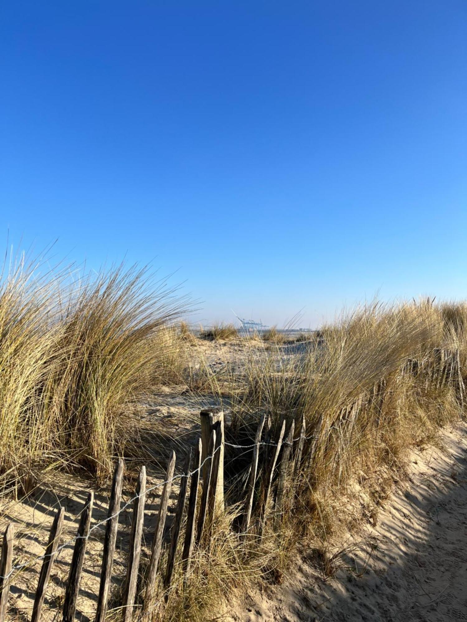 Dune Du Clemot Blankenberge Exterior photo